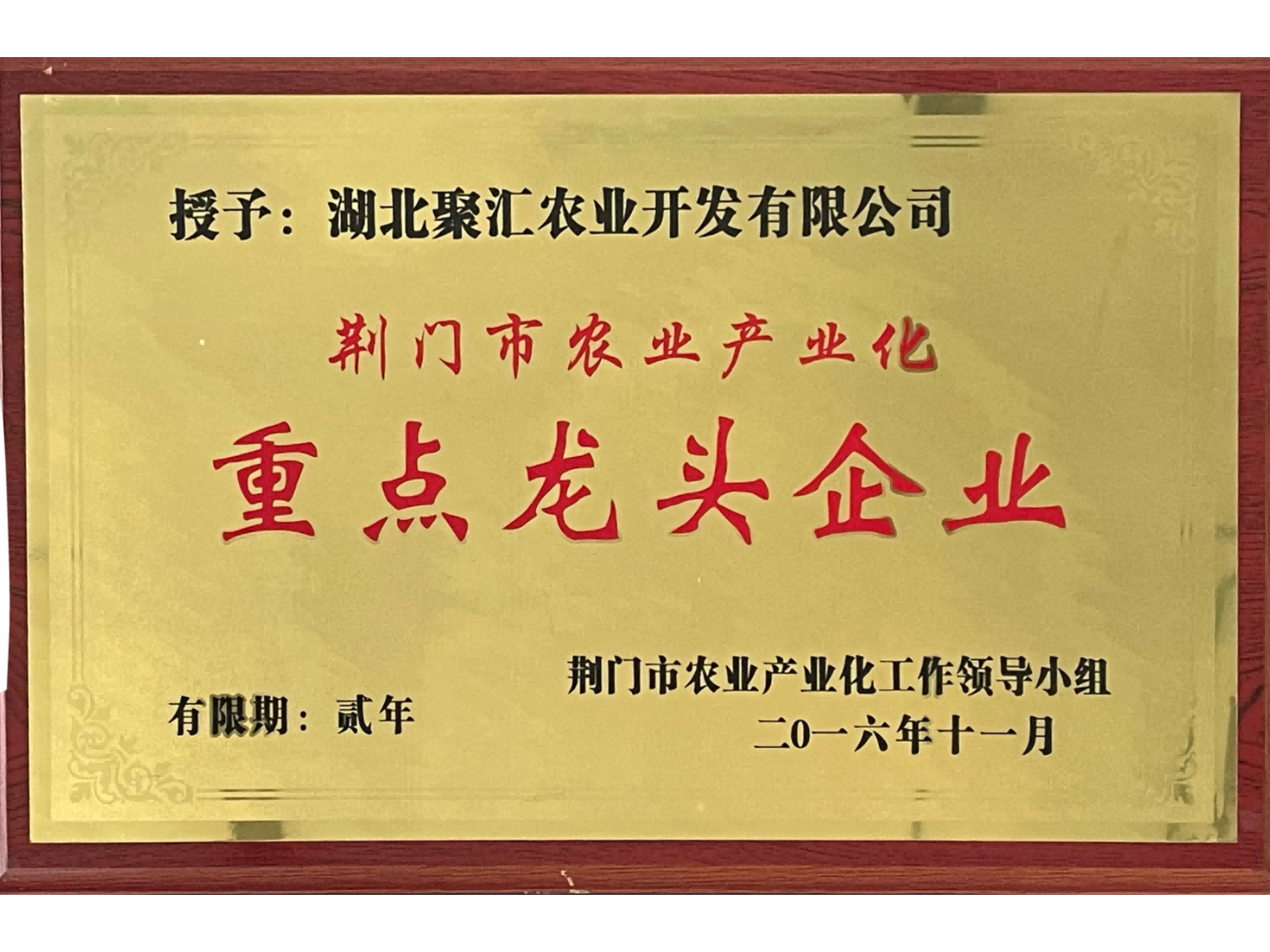 市重點(diǎn)龍頭企業(yè)