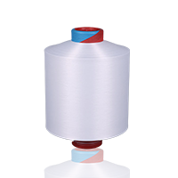 NYLON 6 DTY  RW & BLACK