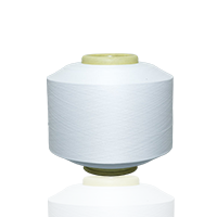 NYLON 6 DTY COLOR YARN