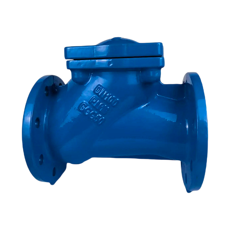 Check valve
