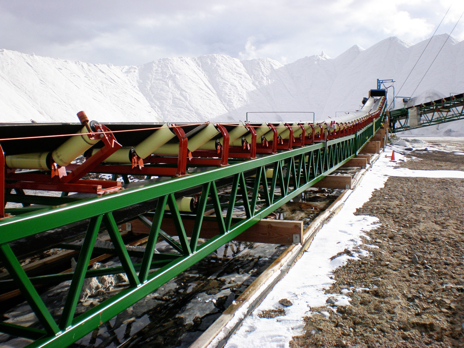 Polyester conveyor belt