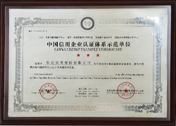 China Credit Enterprise Certification System Demonstration Unit