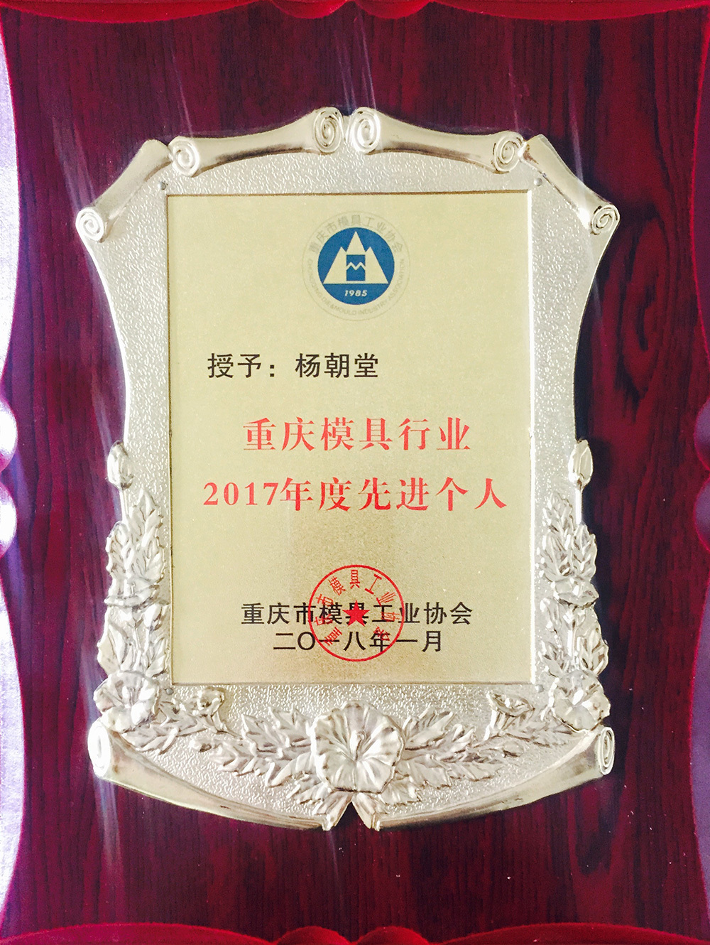 2017年度“先進個人”
