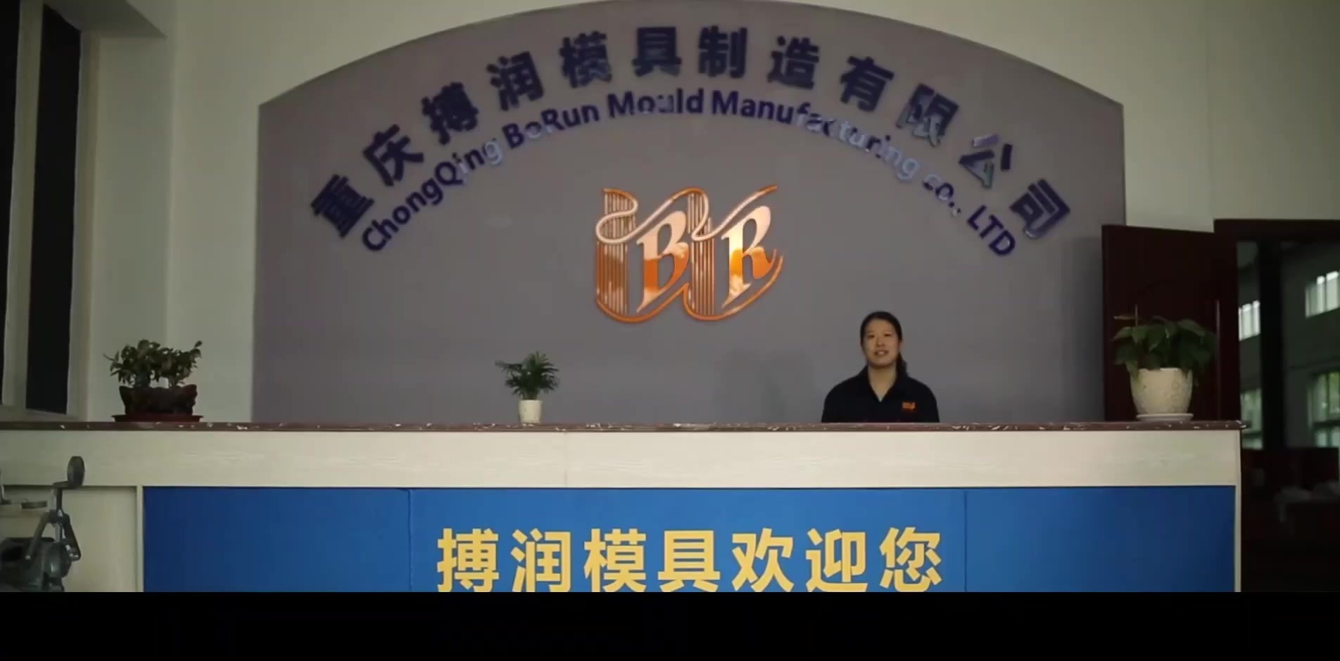 重慶市搏潤(rùn)模具有限公司.mp4