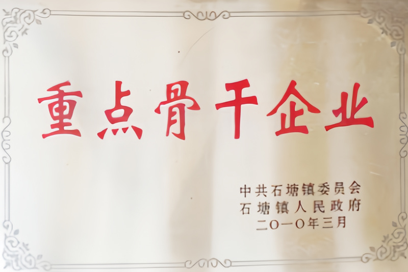 关键骨干企业