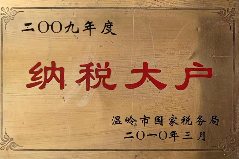 2009年大型纳税人