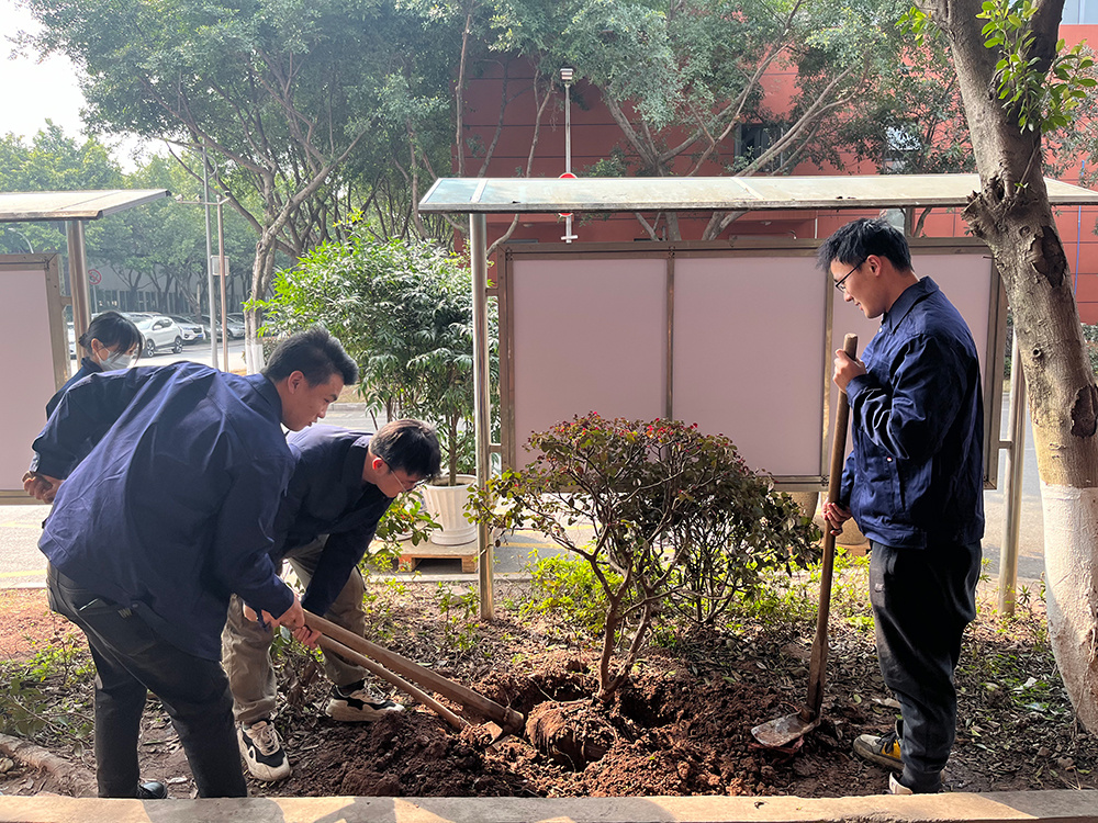 学雷锋