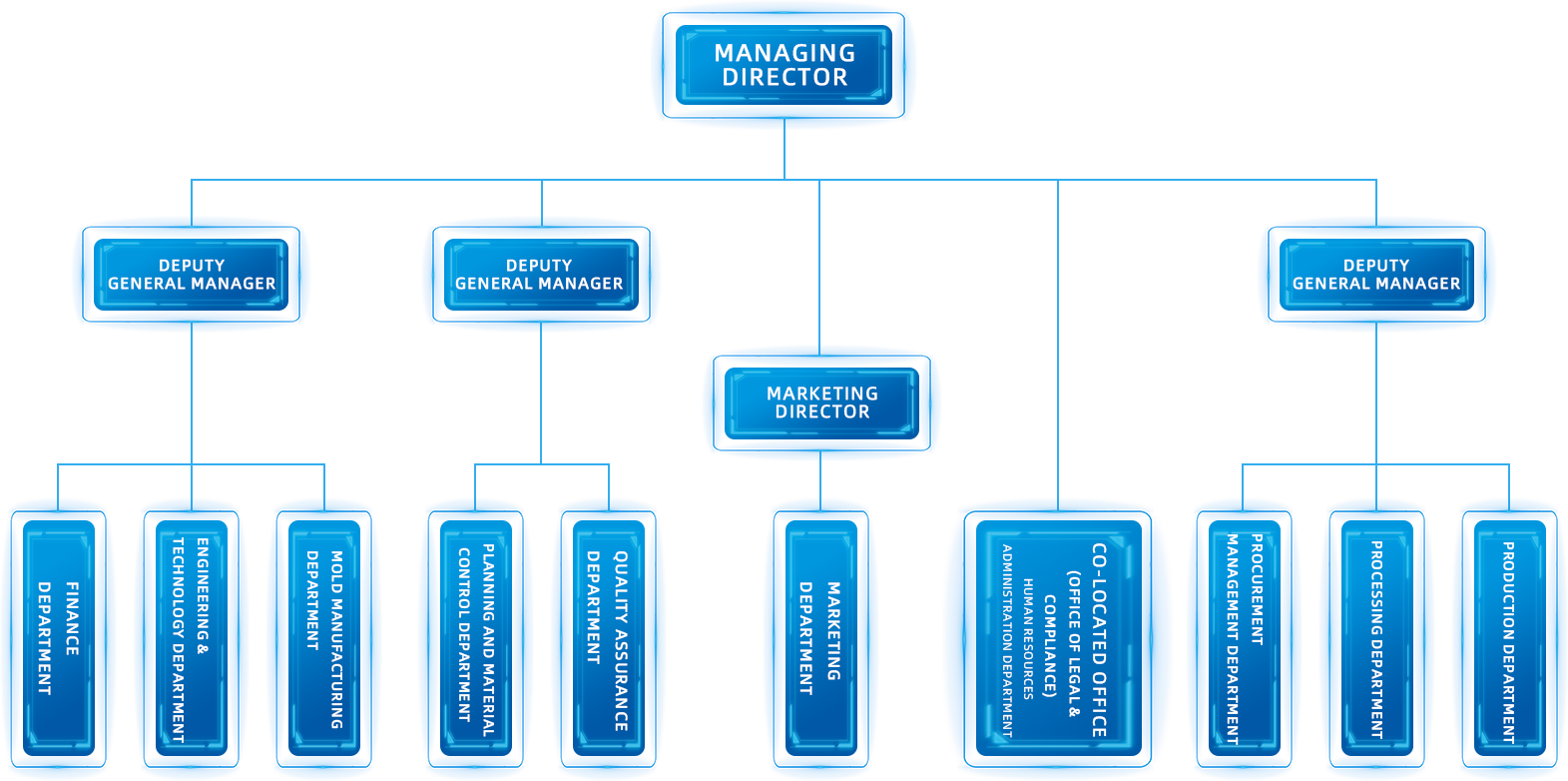 Organizational Structure