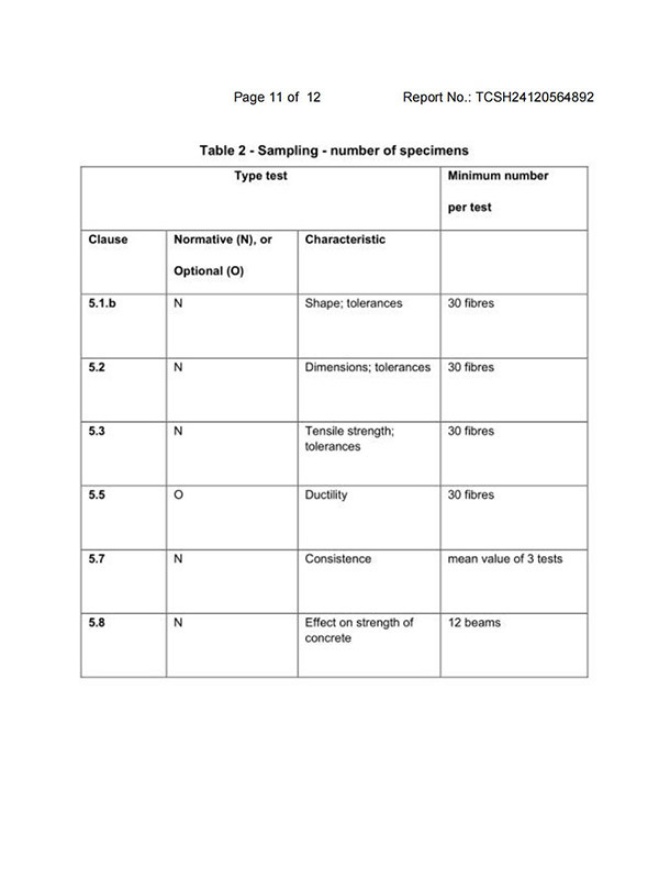 Test Report