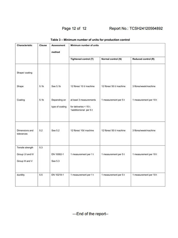 Test Report