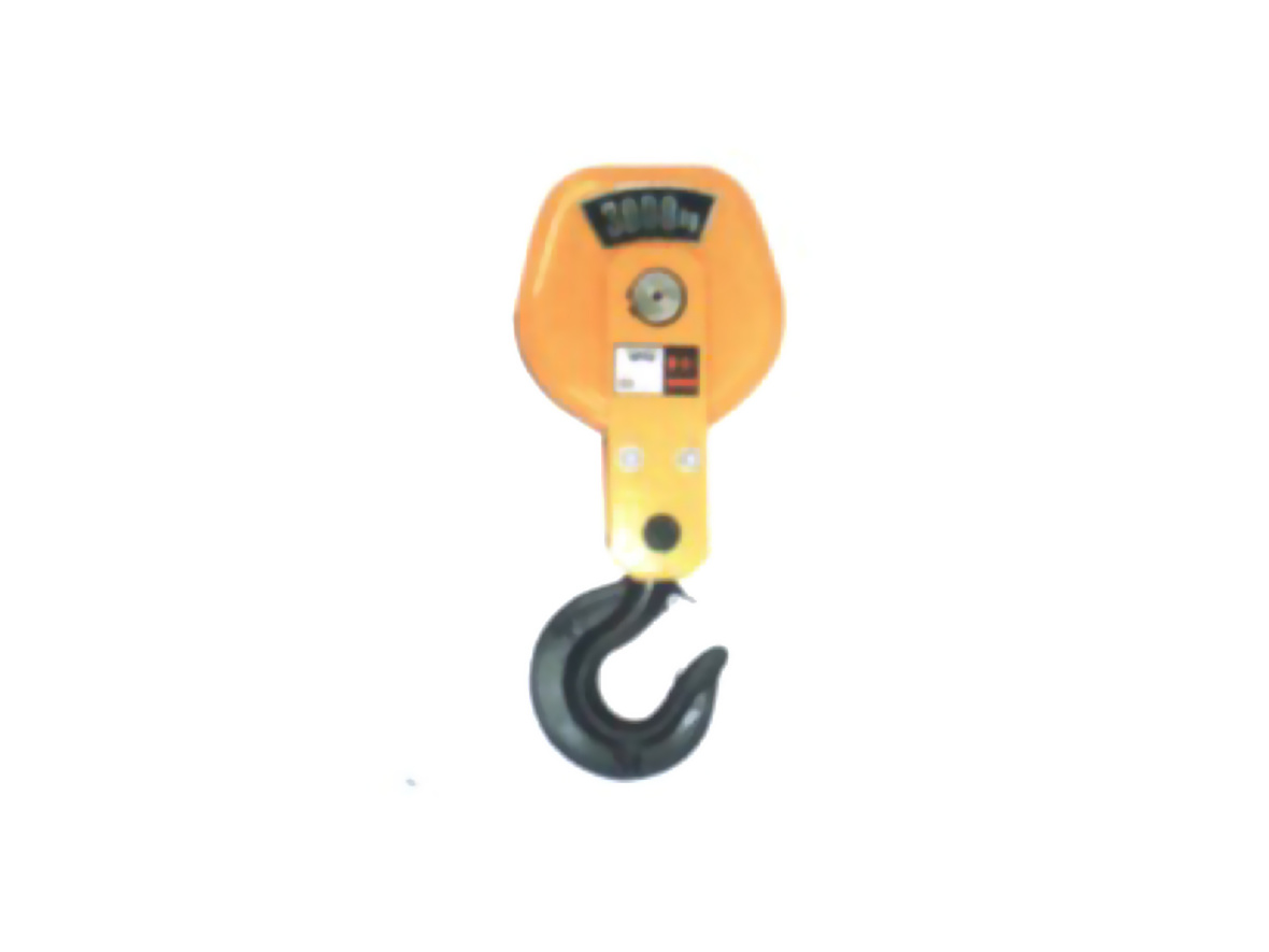 Hoist hook