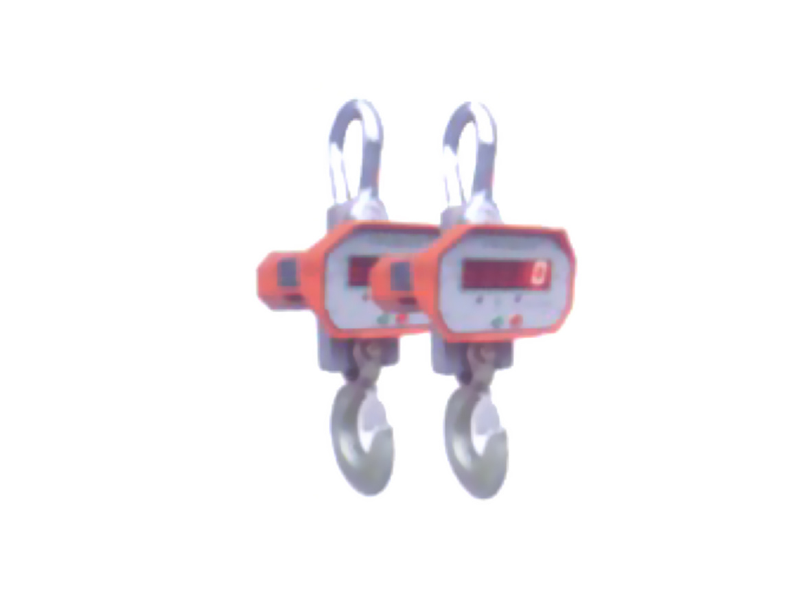 Electroniccrane scale
