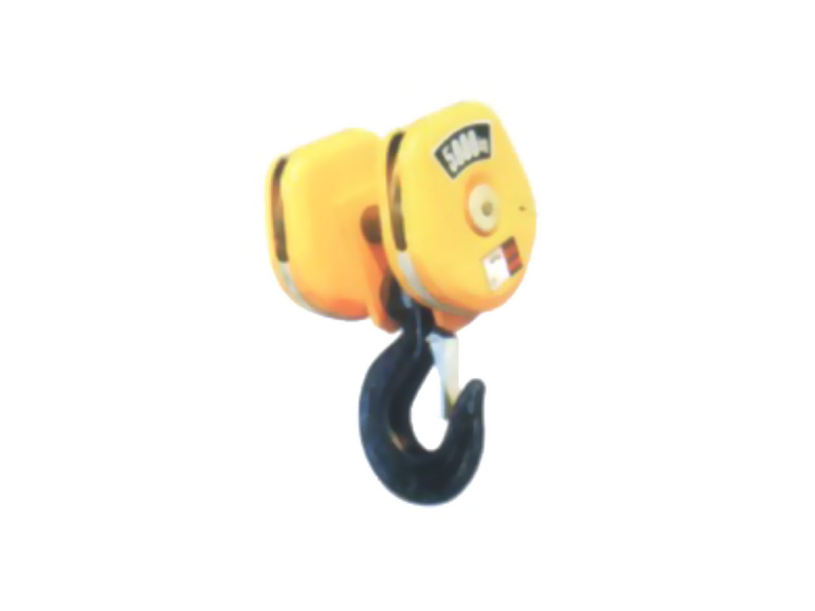 Hoist hook