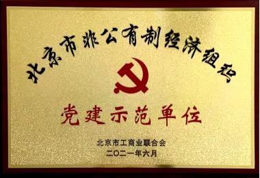 北京审信东审税务师事务所有限责任公司