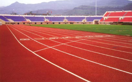 Composite Plastic Track