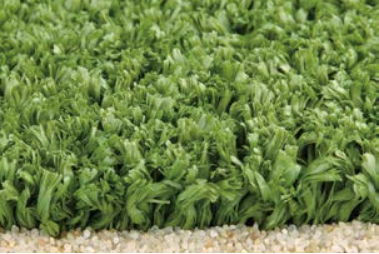 Rugby field lawn