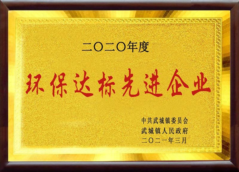 Advanced Enterprises Meeting Environmental Standards