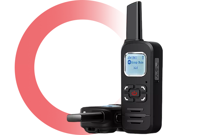 Network walkie-talkie