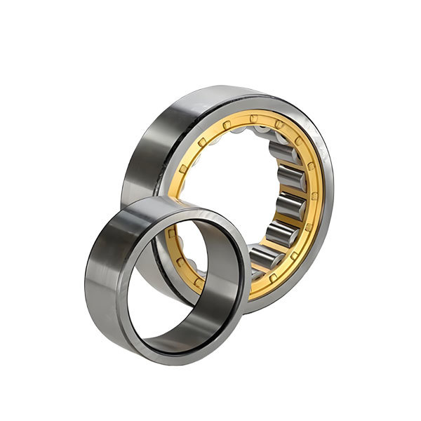 Two type of cylindrical roller bearings