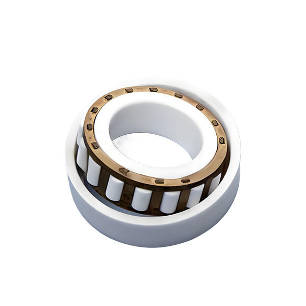Ceramic cylindrical roller bearings