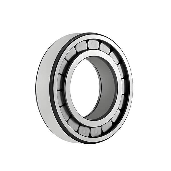 N cylindrical roller bearings