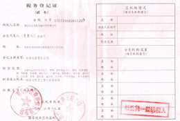 Organization code certificate