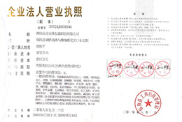 Business License Business License