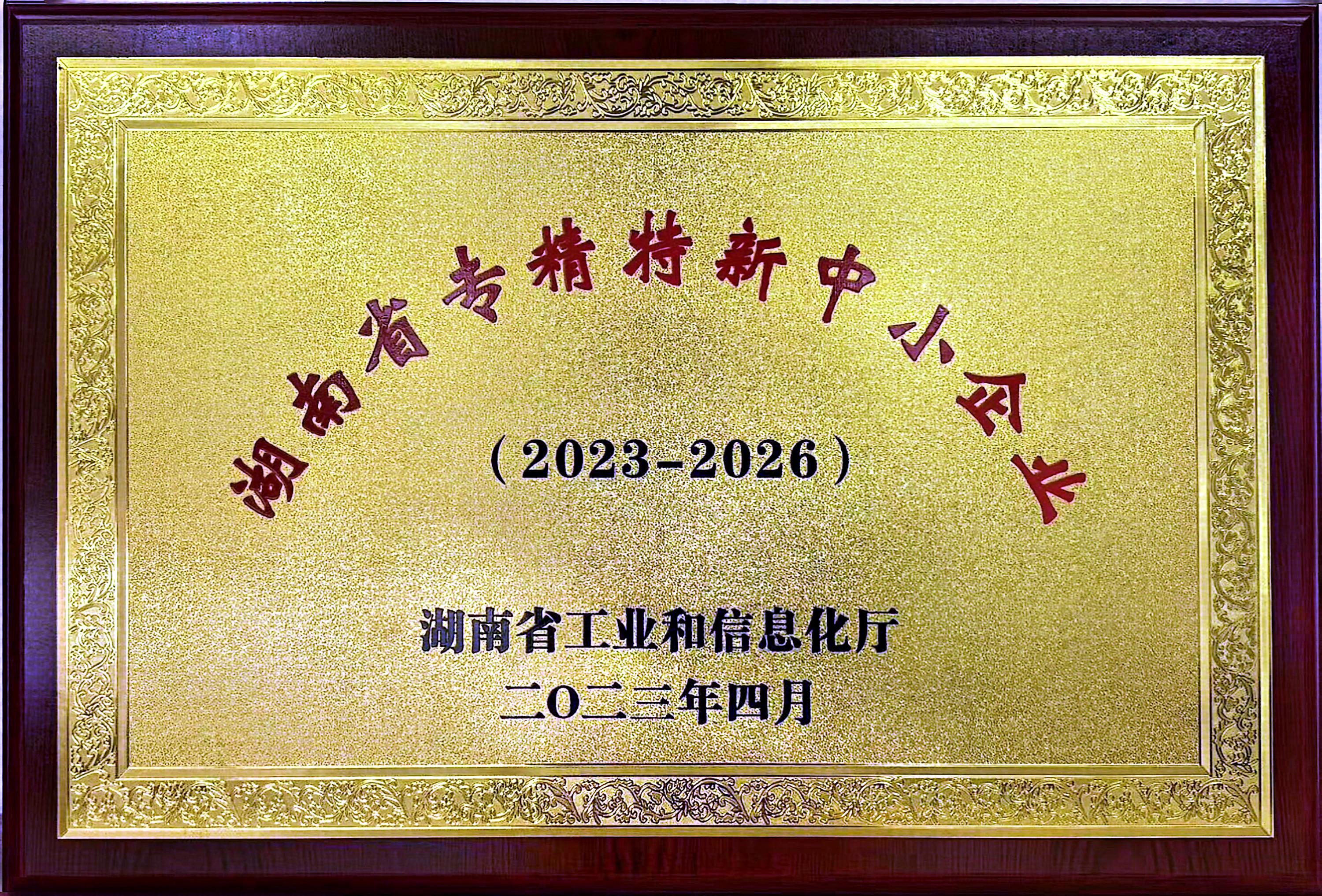 湖南省專(zhuān)精特新中小企業(yè)
