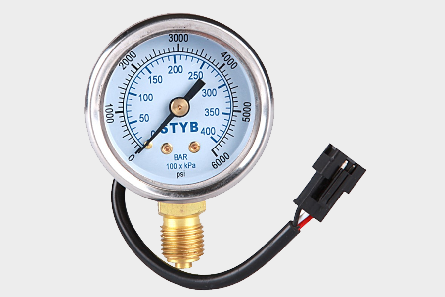 Pressure Gauge