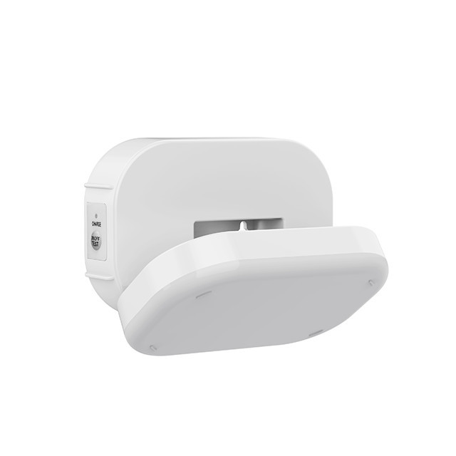 LT-42231 Fire emergency light