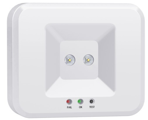 LT-49302 Emergency Light