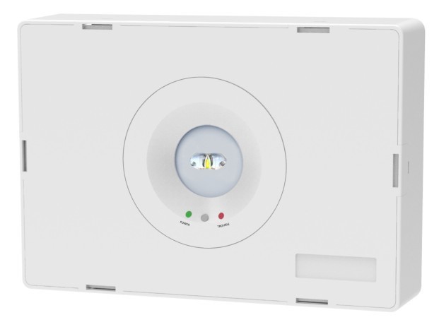 LT-49303 Emergency Light
