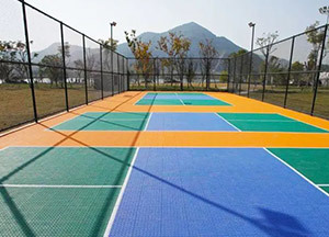Pickleball Court