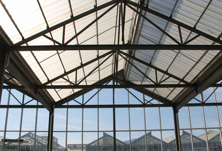 The advantages of using Anai translucent panels for greenhouse lighting.