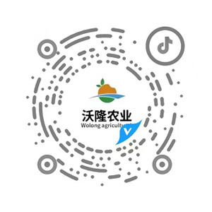 抖音