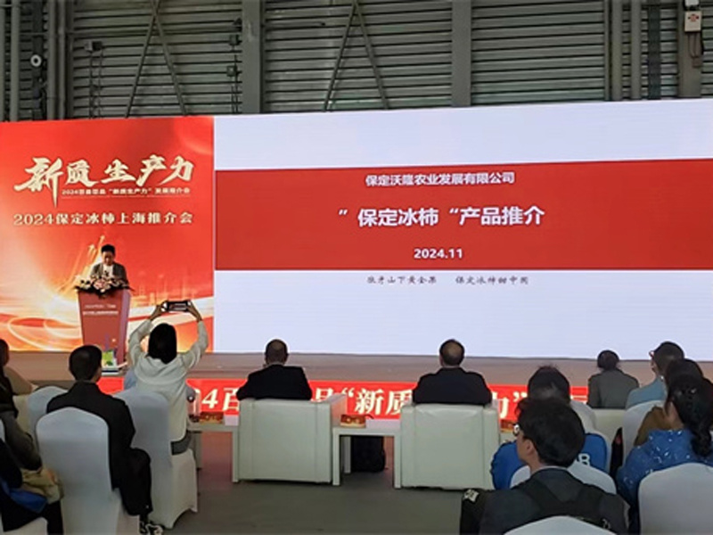 2024保定冰柿上海推介會