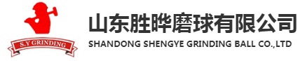 Co. de polissage Ltd de boule de Shandong Shengye