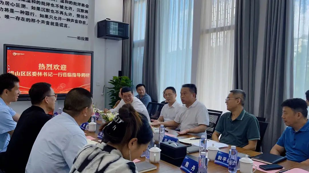 區委林書記一行蒞臨企業調研指導