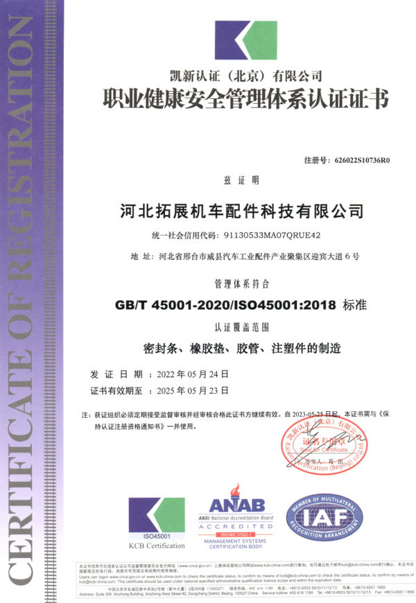 ISO45001(中文)