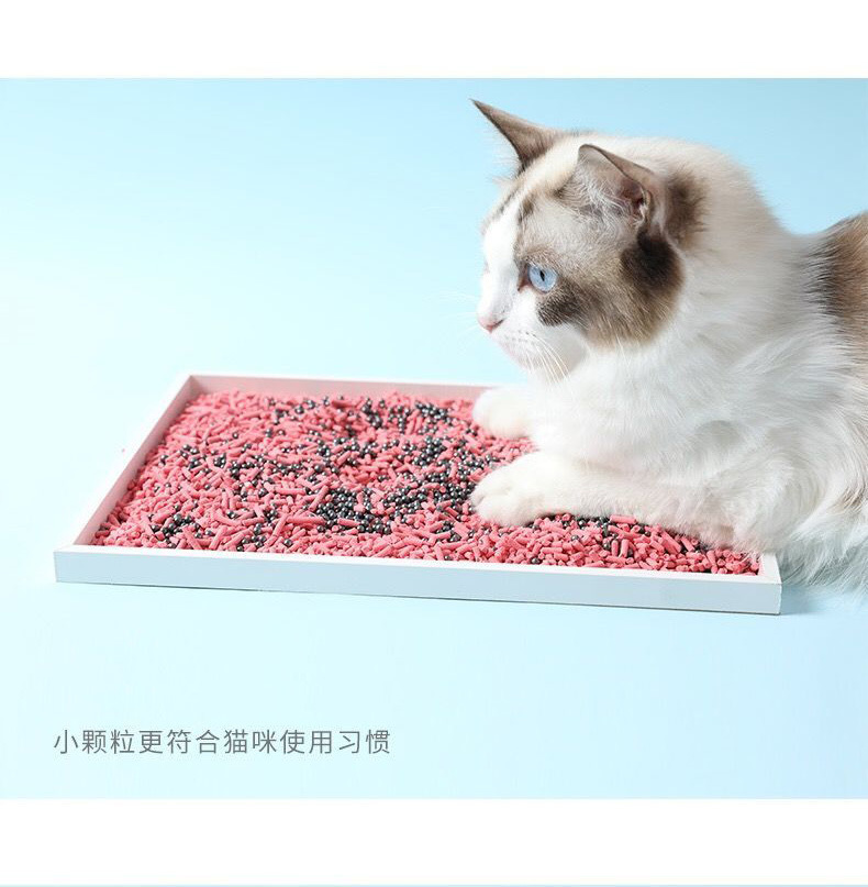 猫砂除臭珠
