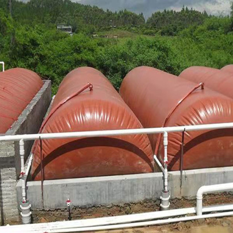 Biogas collection bladder