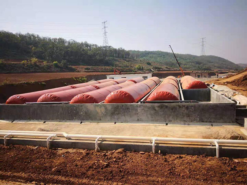 Biogas collection bladder