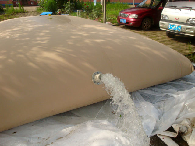 Pillow shaped water storage bladder