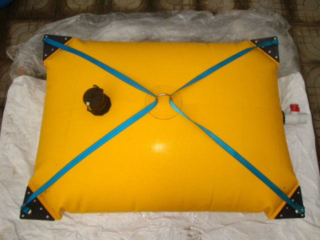 Pillow shaped water storage bladder