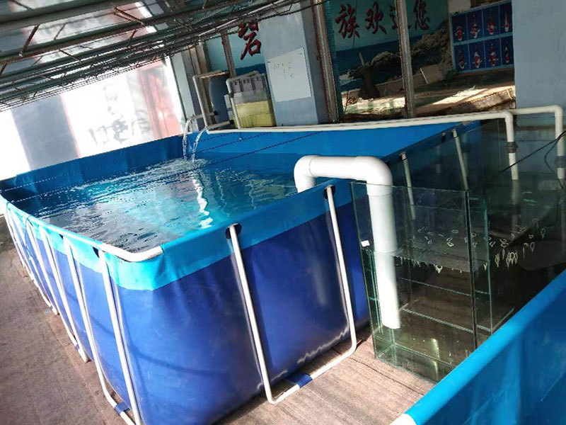 Support pool