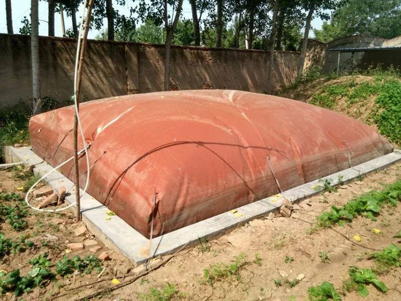 Biogas collection bladder