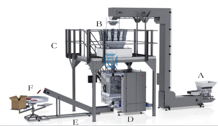 CX-L540 snack food and frozen food packing machine