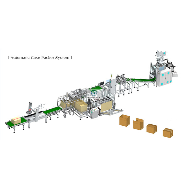 Auto gravity load case packer