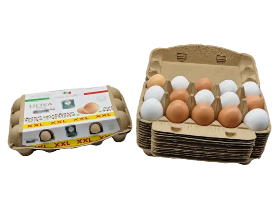 Carton Of Eggs