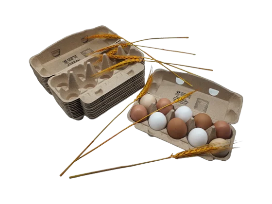 Personal Egg Cartons